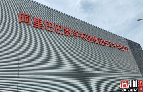 阿里农产品产地仓亮相 水果 做ct ,数字化分选精确到毫米